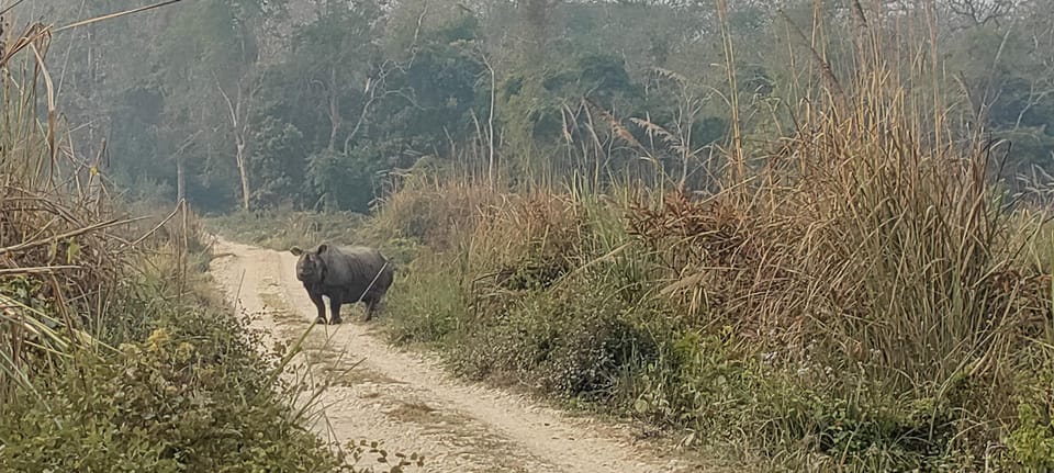 2 Night 3 Days Safari Tour in Chitwan National Park - Booking and Cancellation Policy