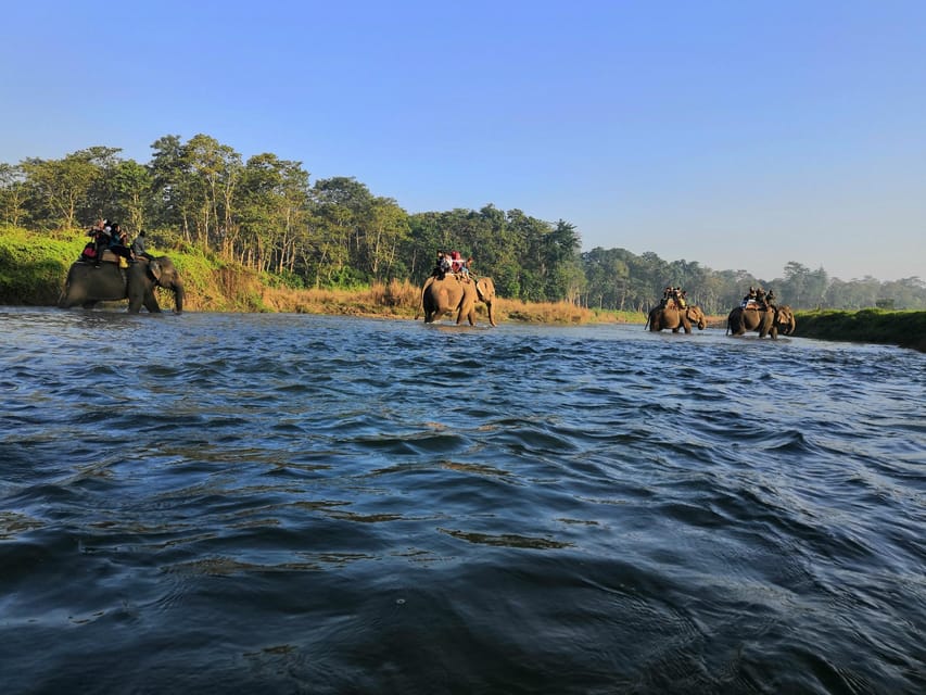 3-Day Chitwan National Park Jungle Safari Tour Kathmandu: - Important Information