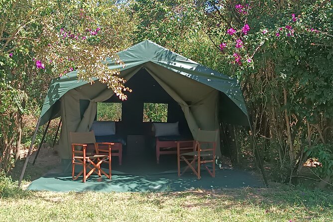 3 Days Masai Mara Camping Safari - Traveler Feedback