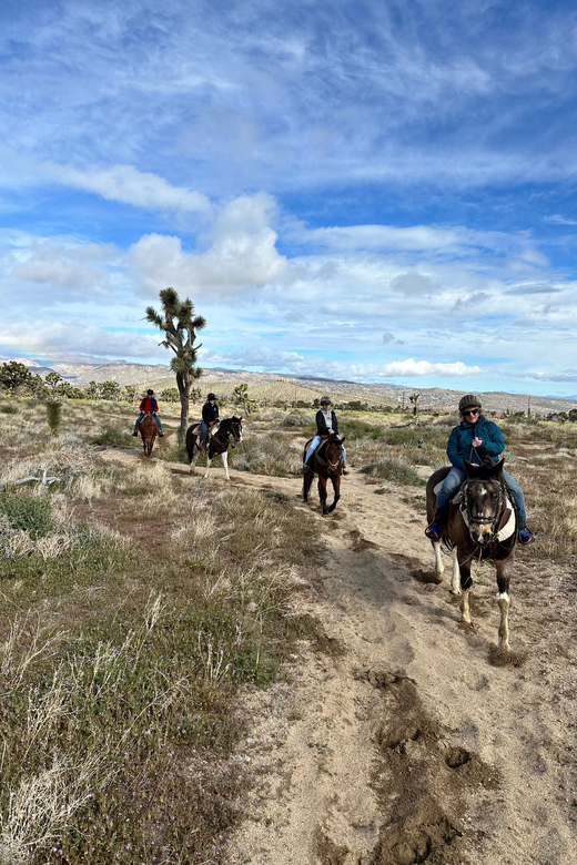 3 Hr Guided Horseback Ride: Joshua Tree National Park - Safety Guidelines