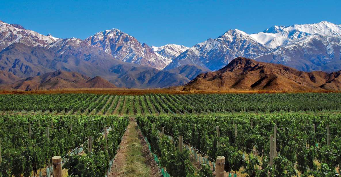 4 - Days Trip to Mendoza & The Andes - Booking Information and Tips