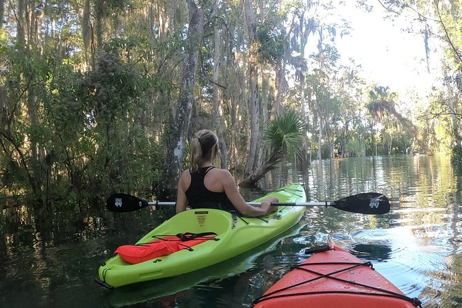 4 Hour Single Kayak Rental In Crystal River, Florida - Summary of Customer Reviews