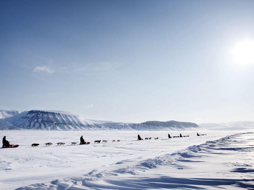 4hr Dog Sledding Trip on Finnmarksvidda - Tips for First-Time Sledders