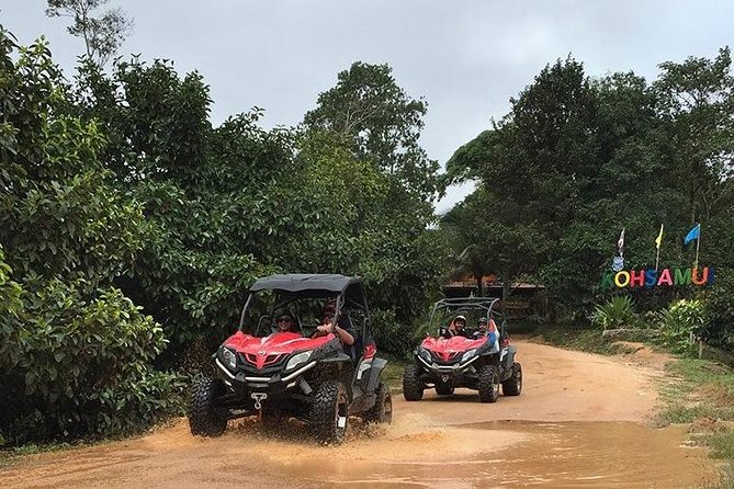 4WD Buggy RZR. Tour 3 Hrs. for 1-2 People per Buggy - Experience Highlights