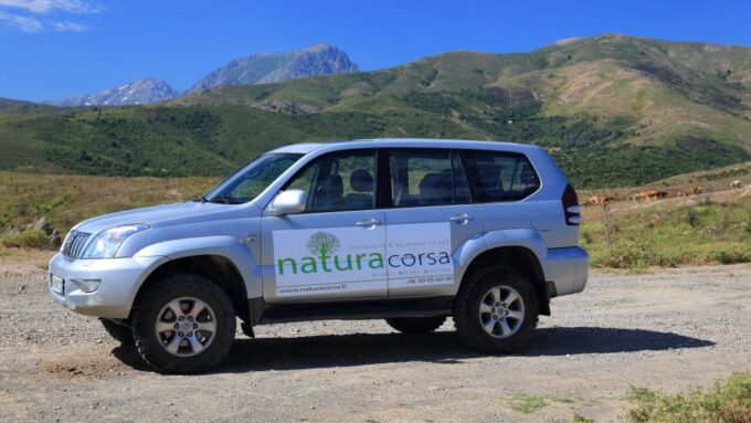 4x4 Agriates Desert and Beach Excursion From Calvi - Booking Your Adventure
