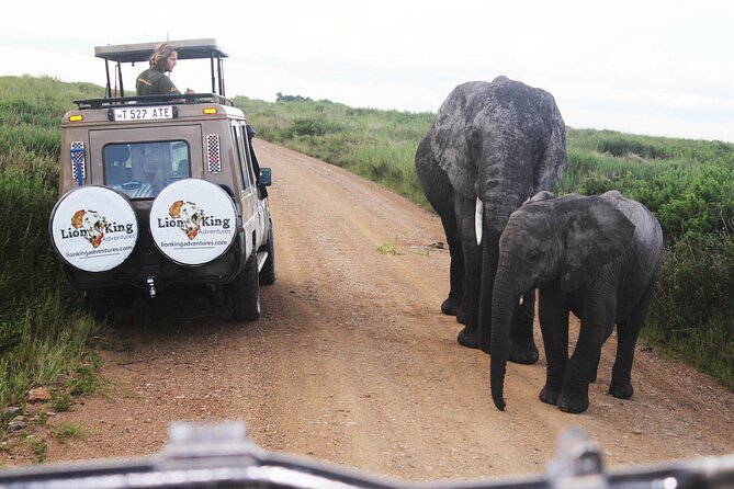 5 Days Best of Tanzania Luxury Safari Northern Circuit - Booking Information