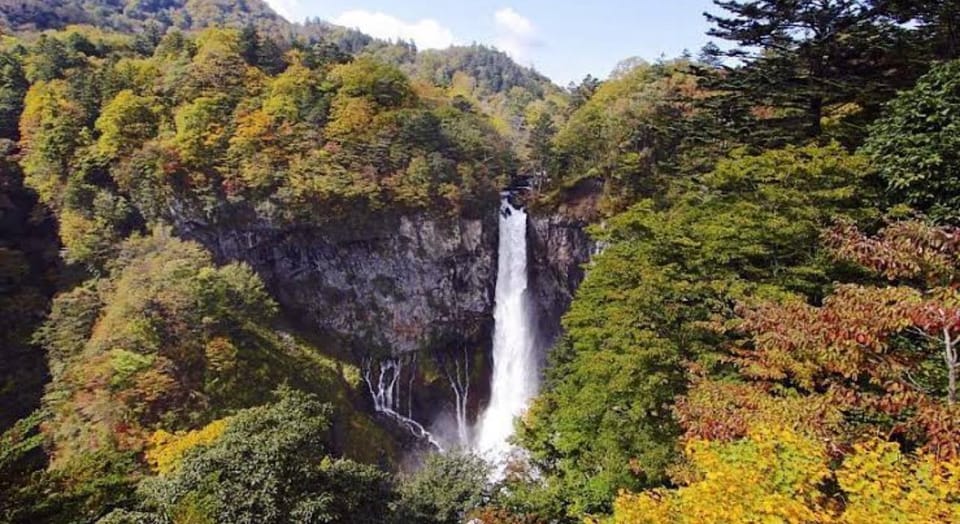 5-Days Private Tour Tokyo, Mt Fuji, Nikko, Hakone and Nagano - Tips for Travelers