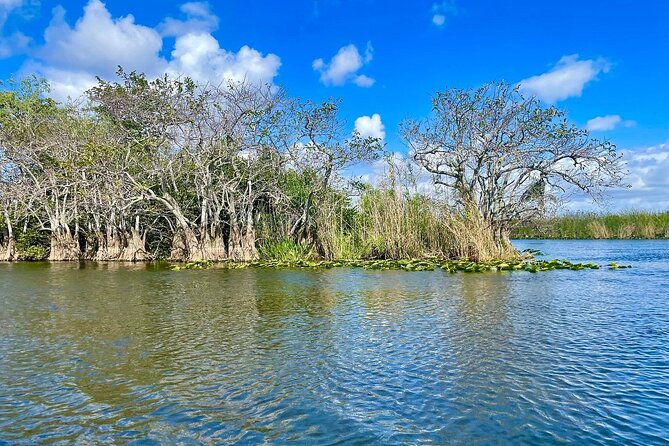 60 Min. Everglades Airboat Ride & Pick-Up ,Small Group +Pro Guide - Wildlife Sightings