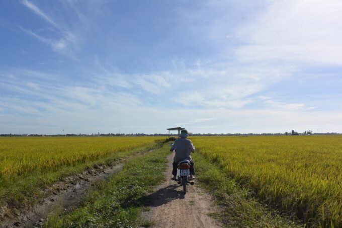 9 Day Discover Vietnam Mekong Delta Guided Motorcycle Tour - Safety Guidelines