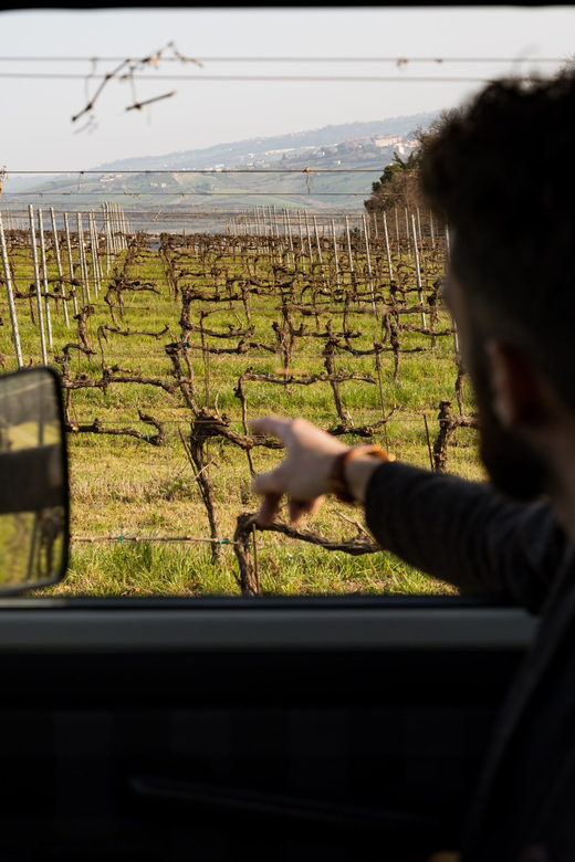 Abruzzo: Vineyard Jeep Tour With Tastings - Local Food Pairing