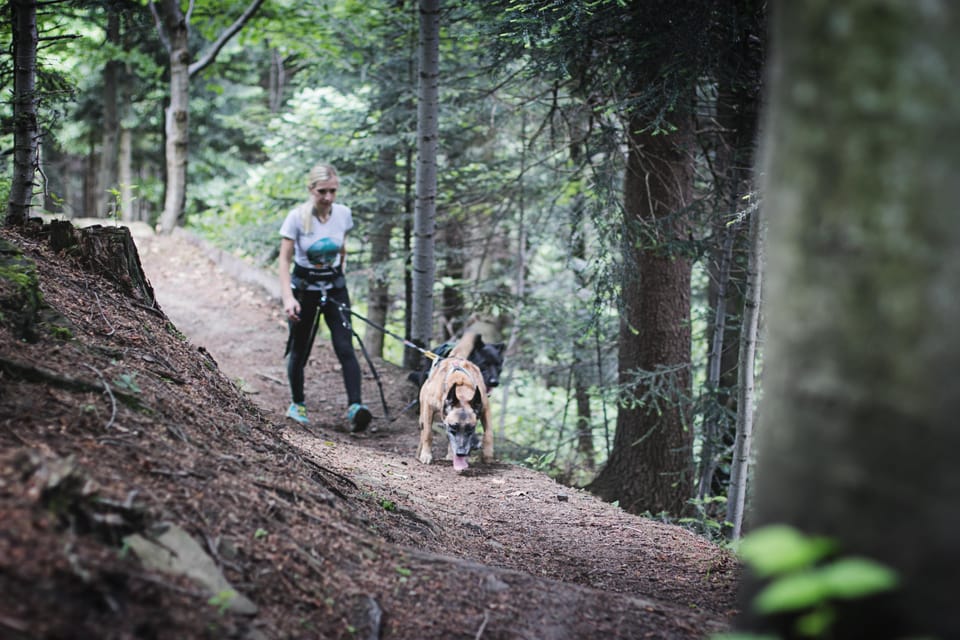 Adventure Tours With Dogs in Beskid Wyspowy - Hike - Customer Testimonials and Stories