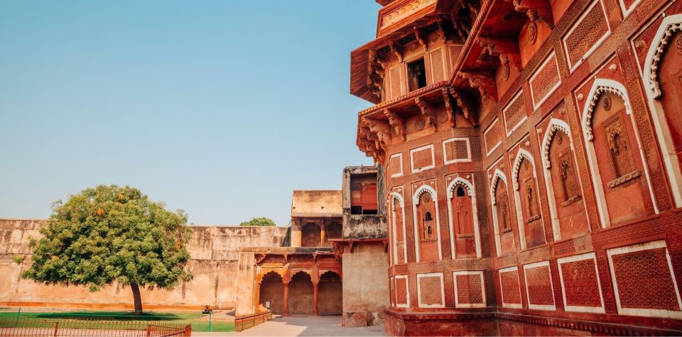 Agra: Taj Mahal Sunrise & Agra Fort Full Day City Tour - Booking Process