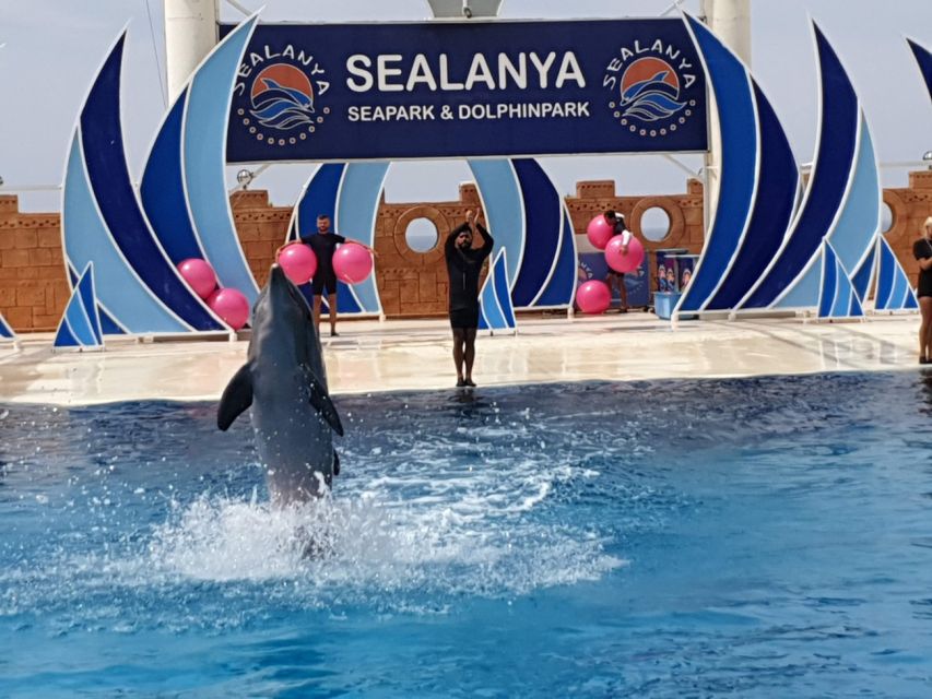 Alanya: Sealanya Dolphinpark Dolphin Show Tour - Nearby Attractions