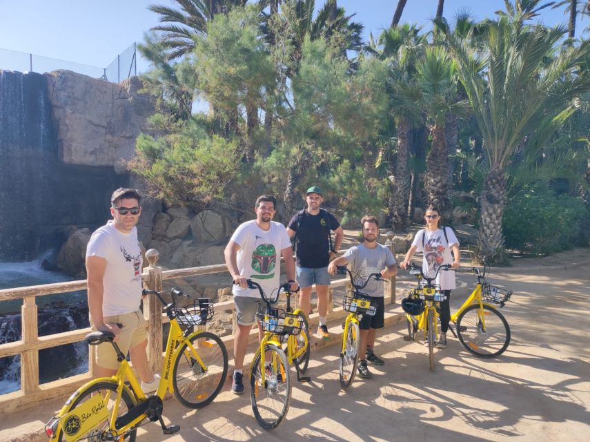 Alicante: City and Beach Bike Tour - Discover Alicantes Unique History