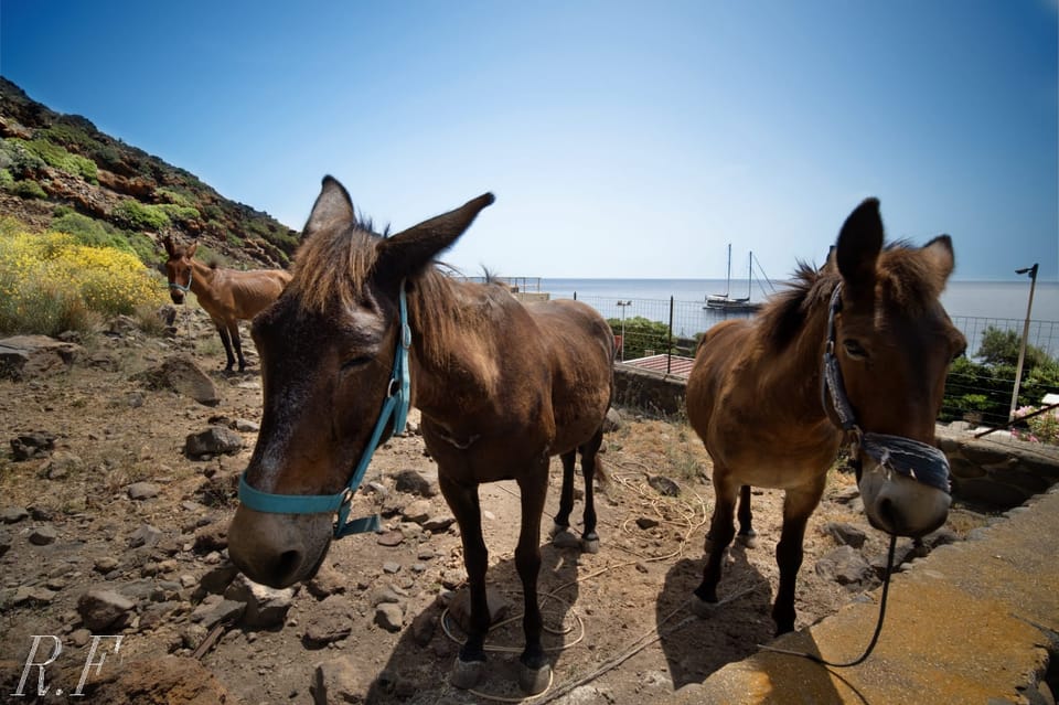 Alicudi and Filicudi Tour From Lipari - Reserve Now & Pay Later