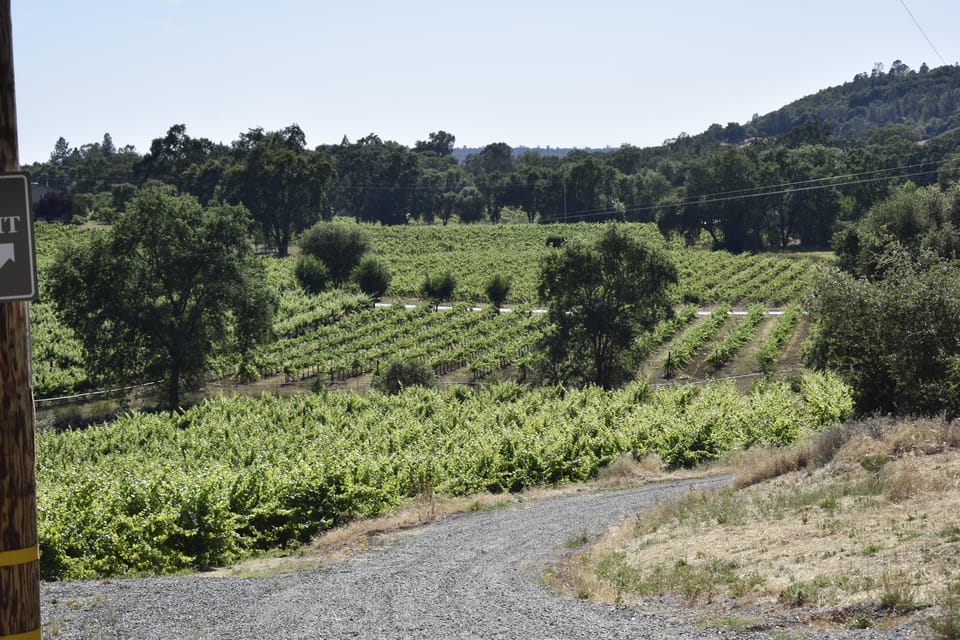 Amador County Wine Tasting Tour Private Tour 1 To 14 Group - Booking Process