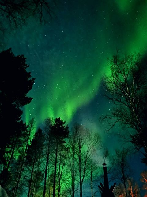 Amazing Aurora With BBQ in the Best Spot in Rovaniemi! - Frequently Asked Questions