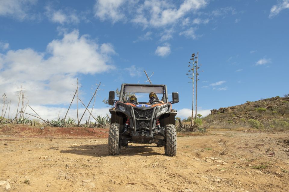 Anfi Beach: Guided Buggy Tour. - Booking and Cancellation