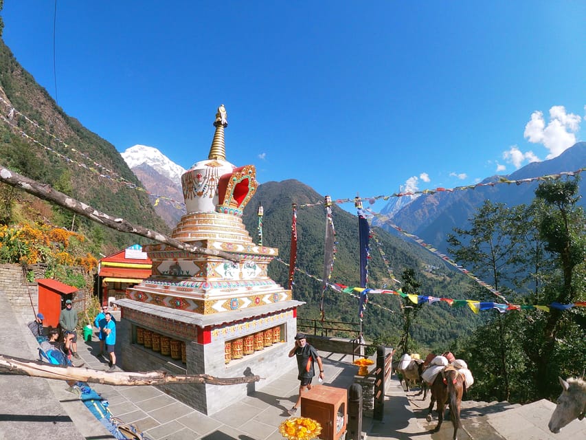 Annapurna Base Camp Trek - Adventure Experience