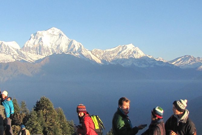 Annapurna Base Camp Trekking - 14 Days - Customer Testimonials