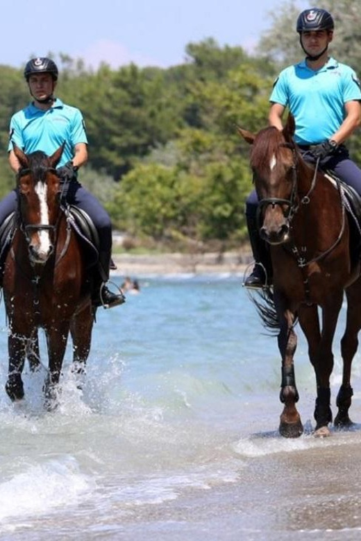 Antalya Horse Safari - Booking Process