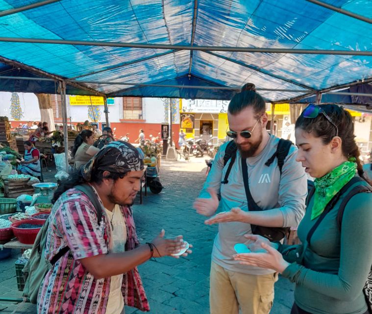 Antigua Villages Atv Tour - Booking Information