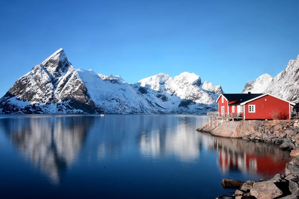 Arctic Nature Tour in Kvaløya With Hot Food and Drinks - Booking Information