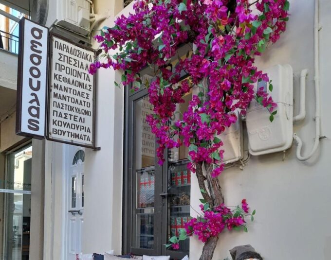 Argostoli Walking Tour - The Towns Tale on Foot - Coastal Road and Turtles