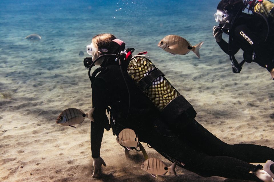 Atlántico Museum: Scuba Dive Lesson for Non-Certified Divers - Customer Feedback and Ratings