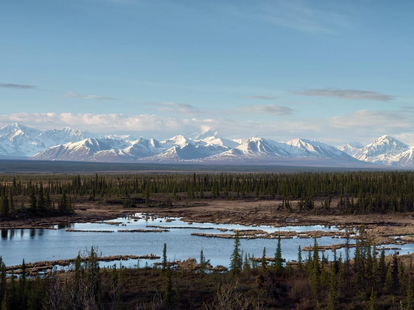 Authentical Denali Tour From Denali Park and Fairbanks - Preparing for Your Adventure