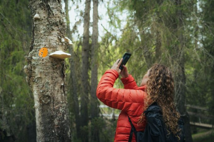 Auttiköngäs Hiking Experience - Important Considerations