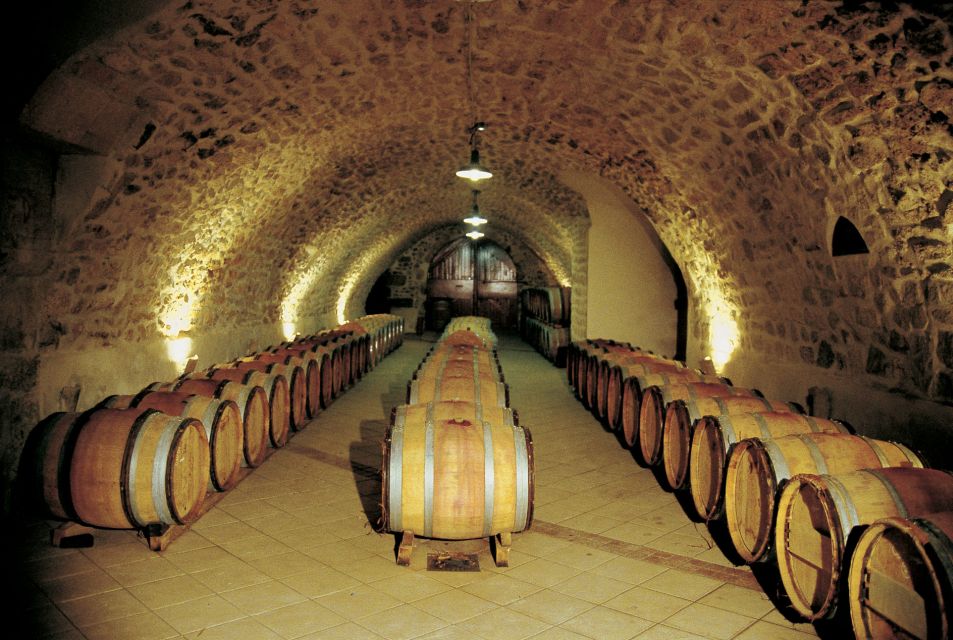 Avignon: Full-Day Wine Tour Around Châteauneuf-Du-Pape - Wine Tasting Techniques