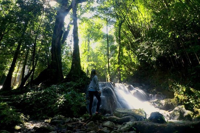 Bamboo Rafting and Jungle Tour From Phuket - Booking and Contact Information