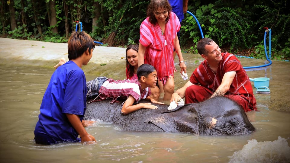 Bangkok Elephant Park: HD Elephant Experience (No Transfers) - Pampering Elephants