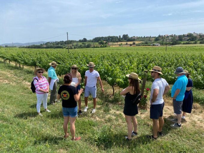 Barcelona: Montserrat With Winery Visit and Farmhouse Lunch - Penedès Wine Region
