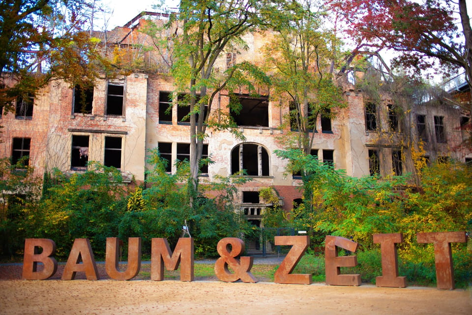 Baum&Zeit Beelitz-Heilstätten: Tree Top Walk Entry Ticket - Explore Panoramic Views