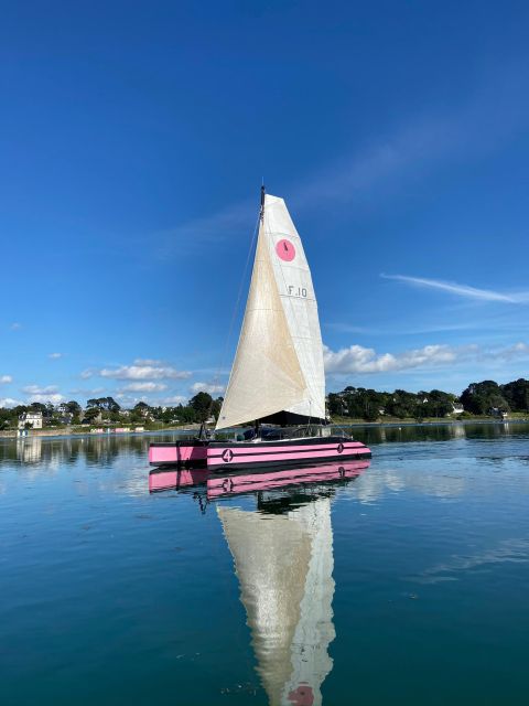 Bay of Quiberon or Morbihan Gulf: Evening 2 Hours Navigation - Price and Cancellation