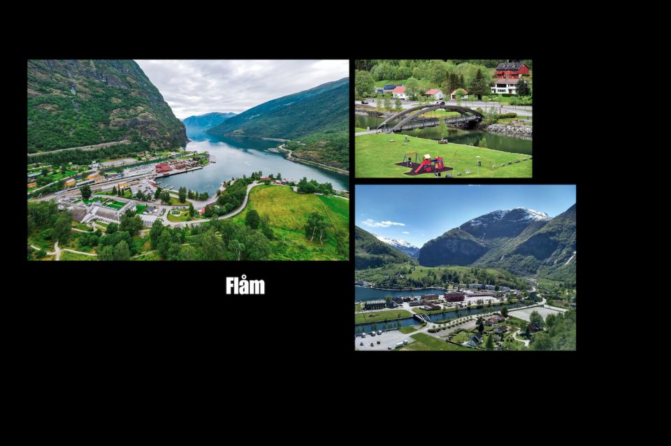 Bergen: Flåm, Stegastein, and Viking Village Private Trip - Customer Experiences