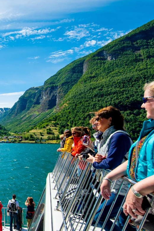 Bergen: Nærøyfjord, Flåm, and Stegastein Guided Bus Tour - Customer Feedback