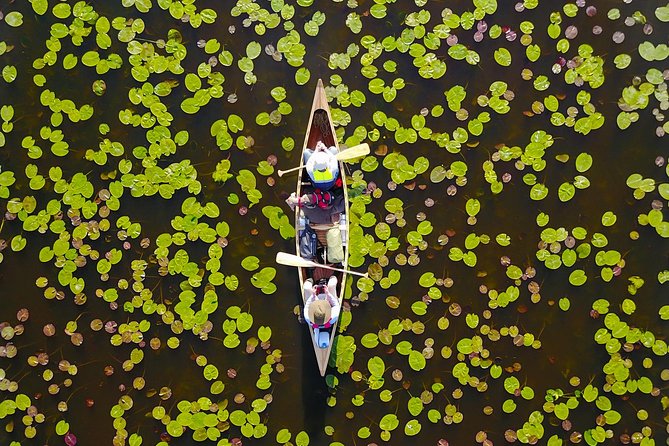 BIRDWATCH - Premium Guided Canoe Tour at Cape Vente, Nemunas Delta Regional Park - Unique Ecosystem Exploration