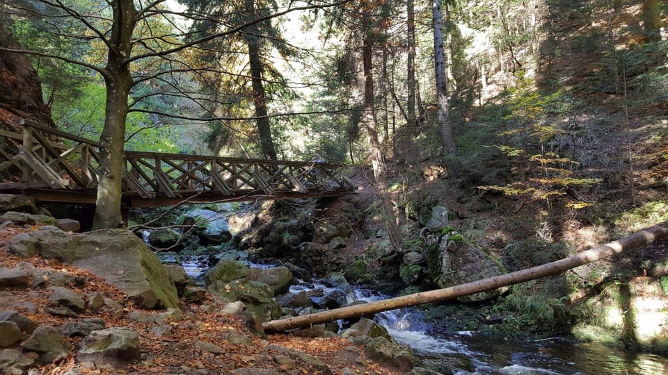 Black Forest: Ravenna Gorge Hike, Self-Guided - Trail Description and Navigation