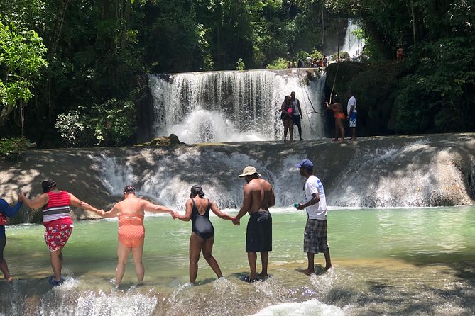 Black River Safari and YS Falls - Customer Reviews and Ratings