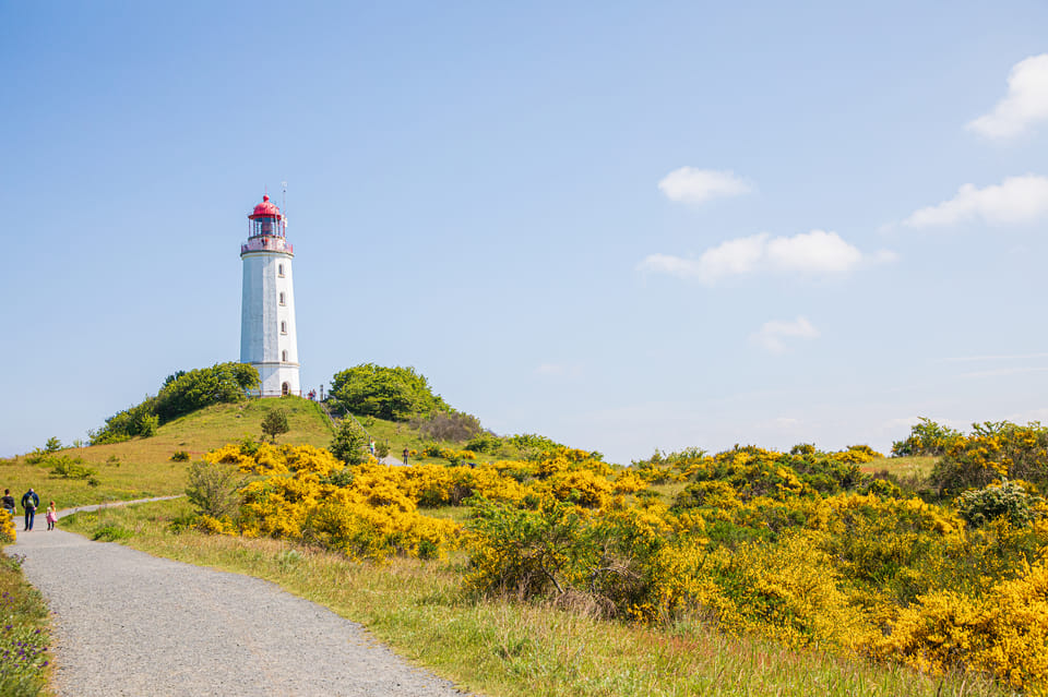 Boat Trip to the Island of Hiddensee From Zingst - What to Bring