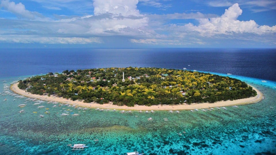 Bohol Island Hopping Tour: Dolphins, Turtles, Sandbars - Pickup and Dropoff