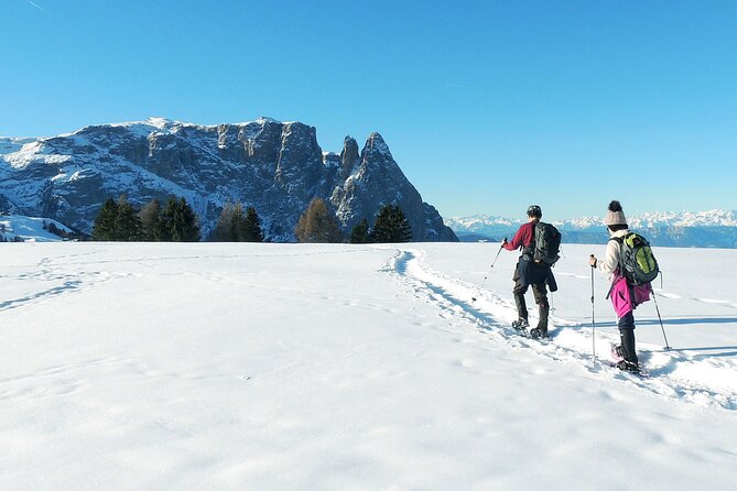 Bolzano Dolomites: Winter Hiking & Sledding Experience - Booking and Cancellation Policy