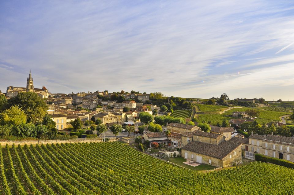 Bordeaux: Vineyards Wine Tasting Half-Day Trip - Transportation and Accessibility