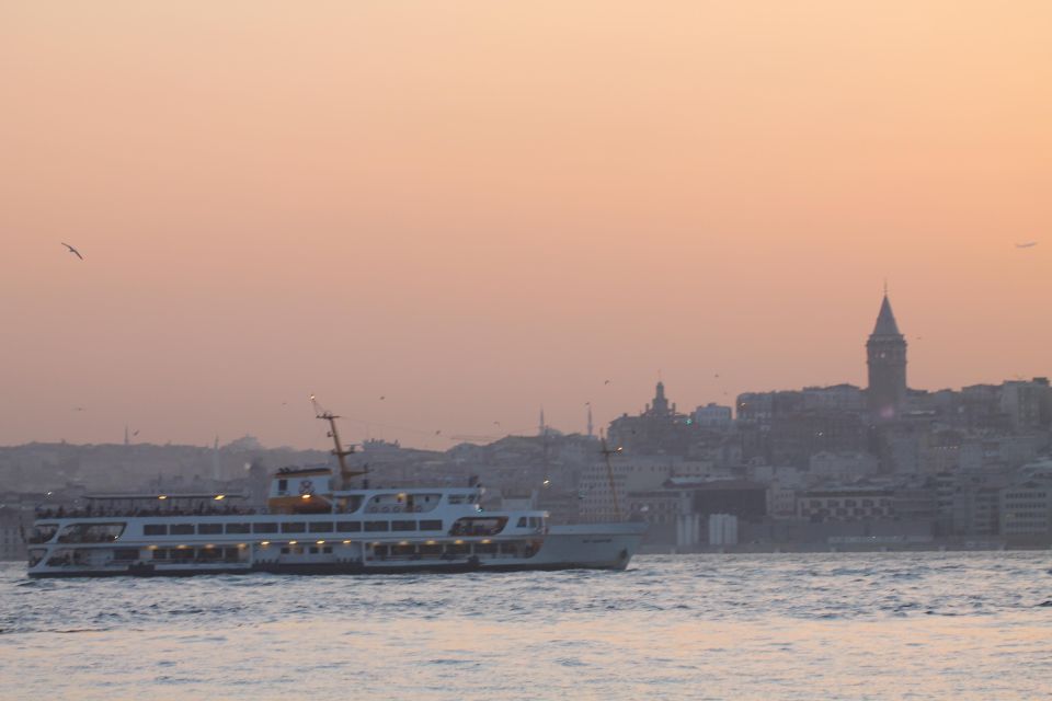 Bosphorus Cruise From Istanbul Airport - Travel Tips for Guests