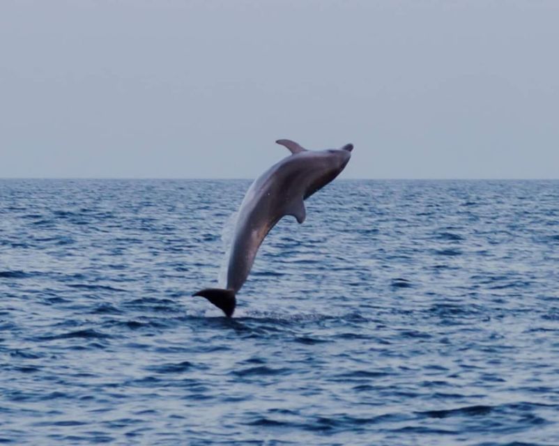 Brijuni Islands: Sunset & Dolphins Private Boat Tour - Customer Feedback