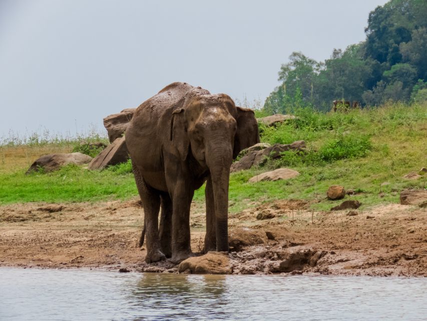 Bundala National Park: 3-Hour Morning or Evening Safari - Small Group Experience