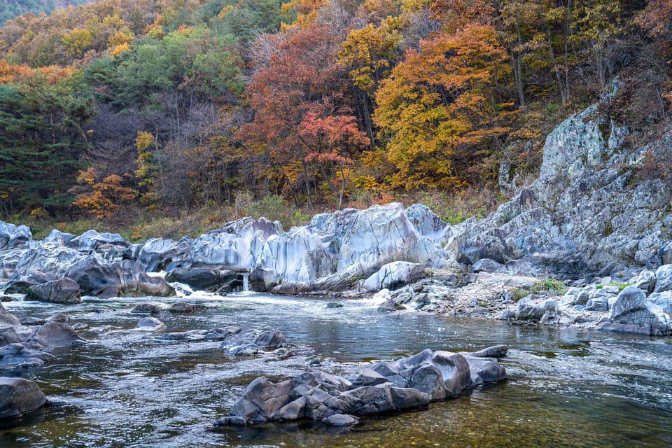 Busan: Mt. Jiri or Juwangsan National Park Fall Colors Tour - Autumn Foliage at Mt. Jirisan